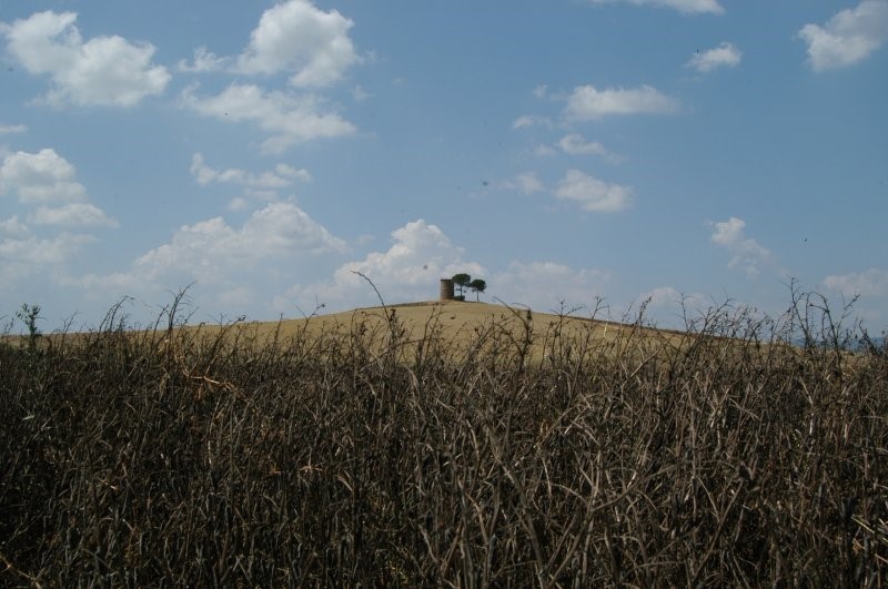 BIBBONA CAMPAGNA